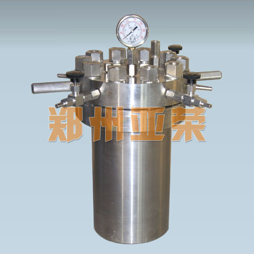 CF簡易不銹鋼高壓反應釜